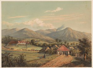 View of the Road Between Buitenzorg and Preanger by Johan Conrad Greive