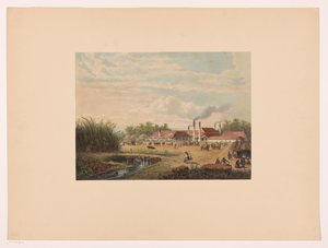 Pangka Factory near Tegal in Central Java by Johan Conrad Greive