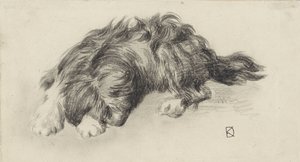 Sleeping Dog