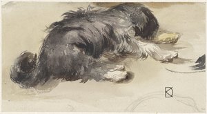Sleeping Dog Seen from Behind