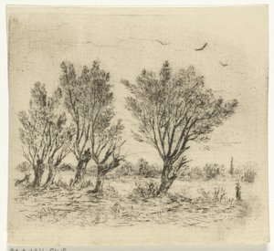 Row of Willows by Johan Frederik Croockewit