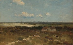 Dune Landscape