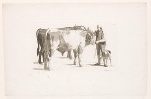 Man and a Dog Next to Two Oxen with a Yoke by Johan Jakob Biedermann