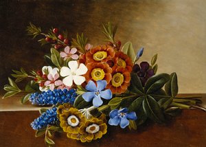 Periwinkle, Auricula and Grape Hyacinths on a Marble Ledge