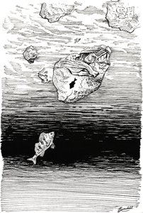 Fish Under Plastic