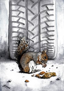 Squirrel by Tire Track