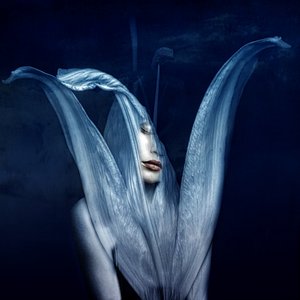 Beautiful monsters 3