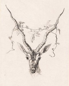 Antelope Head