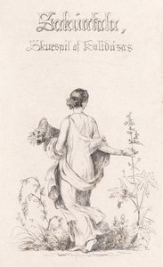 Flower Collector
