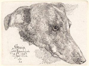 Dog Head, Snip