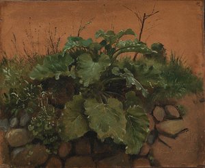 A Burdock and Other Plants on a Stone Wall by Johan Thomas Lundbye