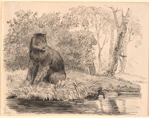 The Bear