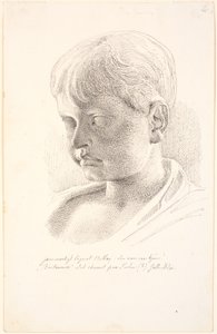 Head of Britannicus. 3/4 Profile to the Left by Johan Thomas Lundbye