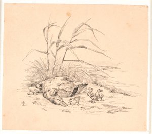 The Killed Wild Duck. Illustration for Kaalund