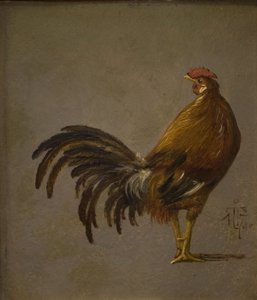 A Rooster
