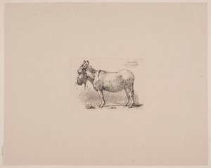 A Donkey Tormented by Flies by Johan Thomas Lundbye
