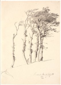 Group of Windblown Trees by Johan Thomas Lundbye