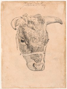 Head of a Cow by Johan Thomas Lundbye