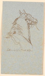 Head and Neck of a Vetturino Horse