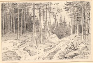 Hollow Road through a Pine Forest by Johan Thomas Lundbye