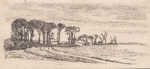 Landscape with a row of trees