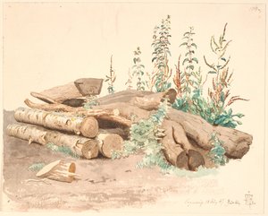Some Felled Tree Trunks, a Water Trough, and Various Plant Growths by Johan Thomas Lundbye