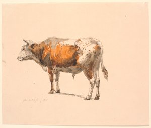 Standing Red-Spotted Bull, Facing Left, Seen from Behind by Johan Thomas Lundbye