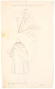Study of a Dandelion Plant and Italian Wrapped in His Cloak by Johan Thomas Lundbye