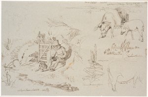 Study Sheet from Vognserup. Left: a shepherd (old Rasmus Larsen) sitting with a dog by a gate. Front: a landscape study with place names. Below: two pigs. Right: study of reeds in a lake. Below: a mullein plant and study of a sow