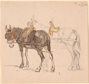 Two Harnessed Mules