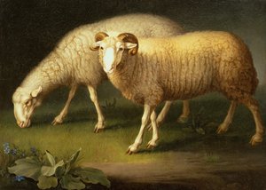A Ram and Sheep by Johan Wenzel Peter