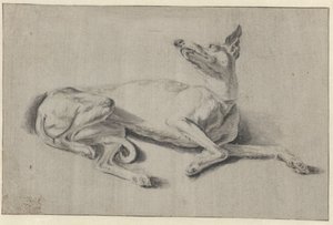 Lying Greyhound by Johan le Ducq (possibly)