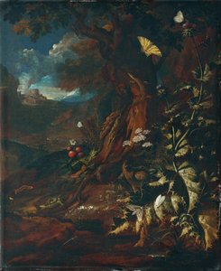 Landscape with Reptiles and Insects (I) by Johann Adalbert Angermayer