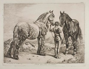 Black Horses from Lincolnshire by Johann Adam Klein