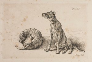 Guerilla, Two Dogs by Johann Adam Klein
