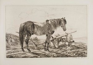 Horse by a Plough by Johann Adam Klein