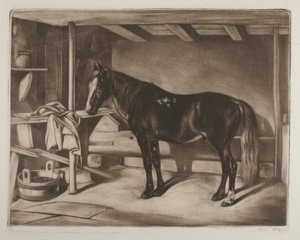 Horse in a Stable by Johann Adam Klein