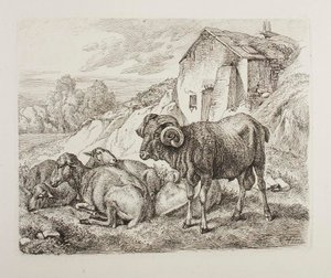 Ram and Sheep Behind a House by Johann Adam Klein