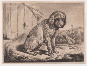 Sitting Dog by Johann Adam Klein