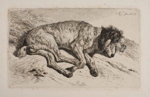 Sleeping Dog, Bello by Johann Adam Klein