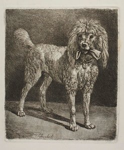 The Poodle Schwalerl by Johann Adam Klein