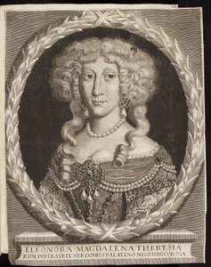 Arolsen Klebeband 01 049 by Johann Alexander Boener