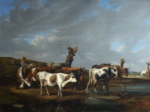 Herd of Cows
