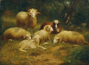 Sheep by Johann Baptist Hofner