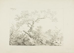 Trees and Rocks by Water by Johann Christian Klengel