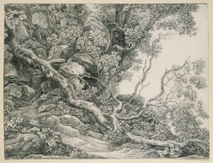 Trees on a Rocky Slope by Johann Christian Reinhart