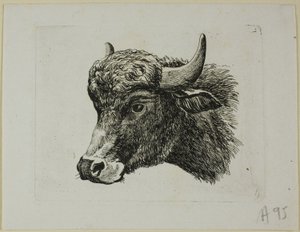 Buffalo Head Facing Left, from Die Zweite Thierfolge by Johann Christian Reinhart