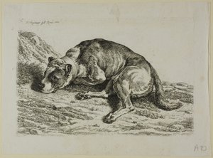 Dog Laying Down, from Die Zweite Thierfolge by Johann Christian Reinhart
