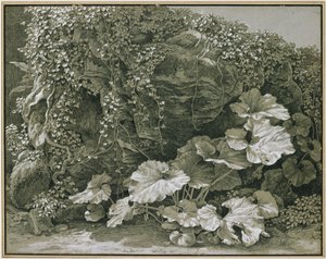 Large Leaf Plants in an Ivy-Covered Rock Grotto by Johann Christian Reinhart