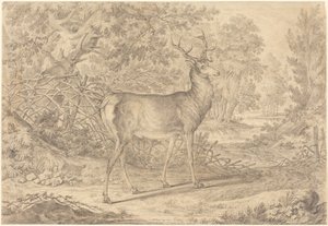 A Splendid Young Stag before a Wattle Fence by Johann Elias Ridinger